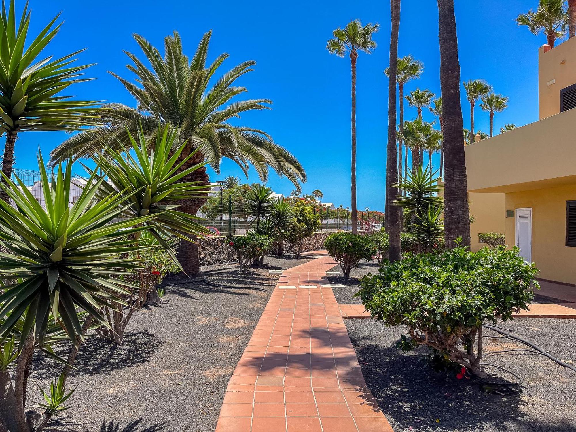 Apartamentos Oasis Royal Corralejo F314 المظهر الخارجي الصورة