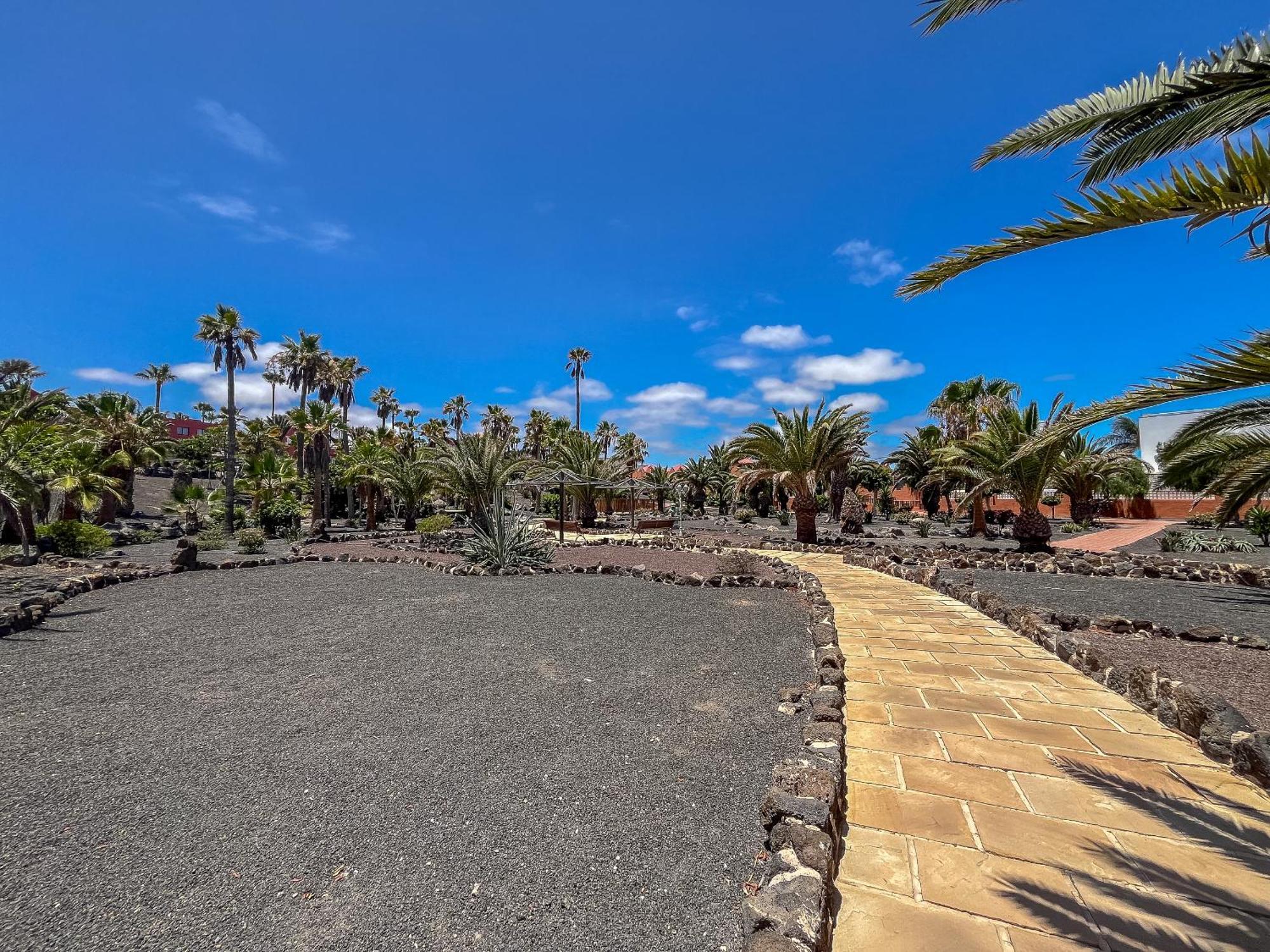 Apartamentos Oasis Royal Corralejo F314 المظهر الخارجي الصورة