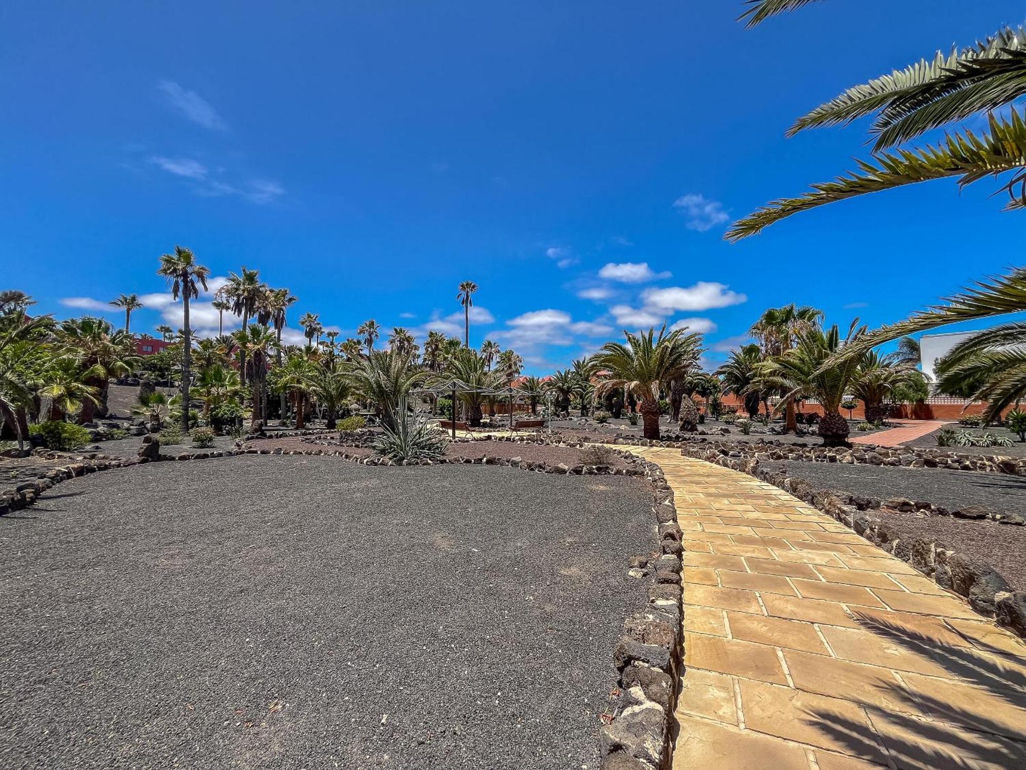 Apartamentos Oasis Royal Corralejo F314 المظهر الخارجي الصورة